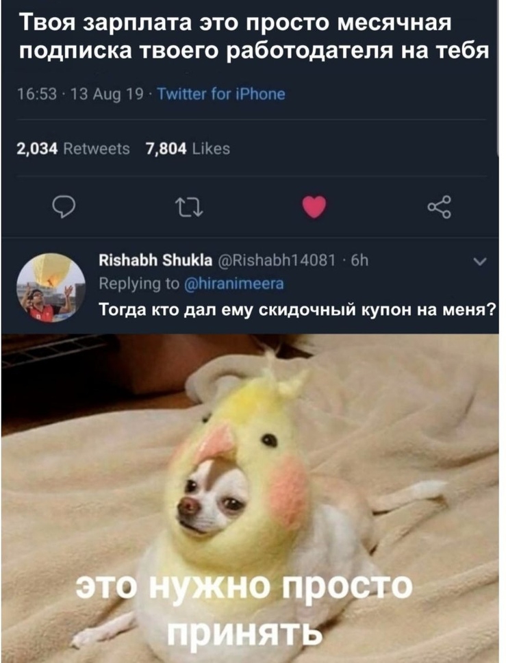 ТВОЯ ЗЗРППЗТЗ ЭТО ПРОСТО месячная ПОДПИСКЗ твоего работодателя на тебя 1653 13 Аи919ТштегіогбРЬопе 2034 Кемеетз 7804 _іе5 О О 2 ПізЬвЬЬ ша КізЬаЬИМОЫ ен Керіуіп9 10 Ьігапітеега Тогда кто дал ему скидочный купон на меня