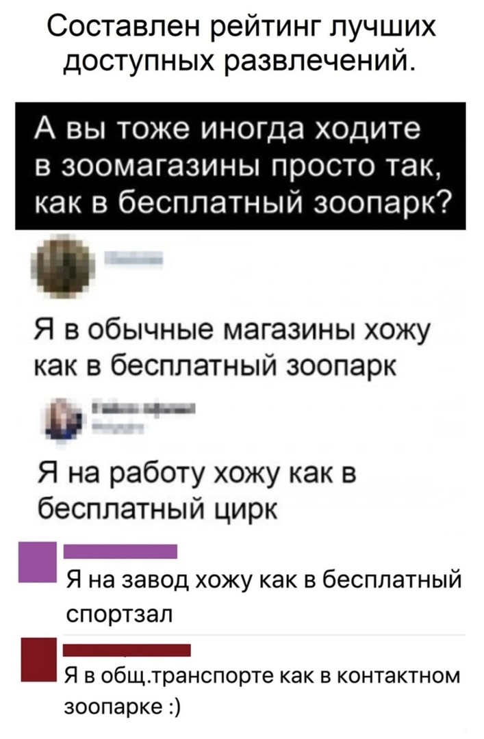 Составлен рейтинг лучших доступных развлечений А вы тоже иногда ходите в зоомагазины просто так как в бесплатный зоопарк Я в обычные магазины хожу как в бесплатный зоопарк и Я на работу хожу как в бесплатный цирк _ Я на завод хожу как в бесплатный спортзал _ Я В общтранспорте как В КОНТаКТНОМ зоопарке