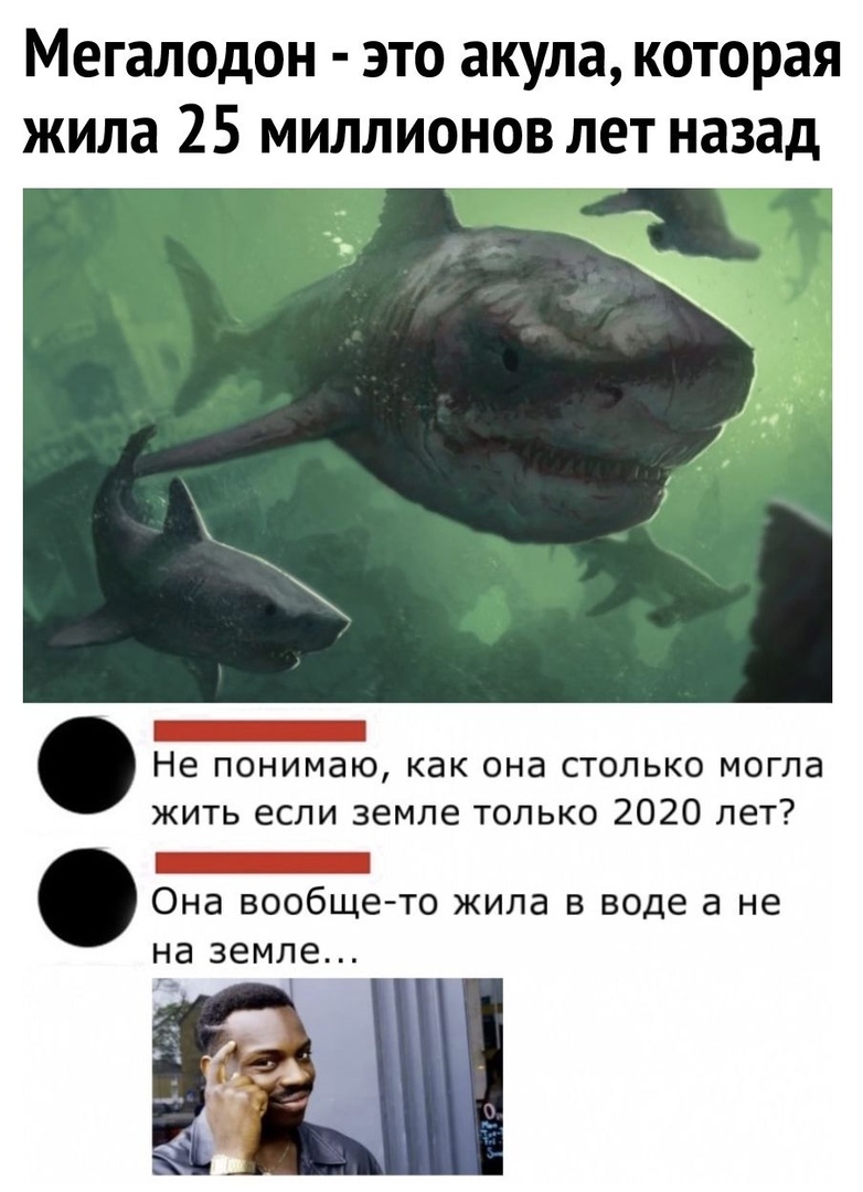 Мегалодон это акула которая жила 25 миллионов лет назад _ Не понимаю КВК ОНд СТОЛЬКО МОГЛЭ жить если земле только 2020 лет _ Она вообще то жила в воде а не на ЗЕМЛЕ
