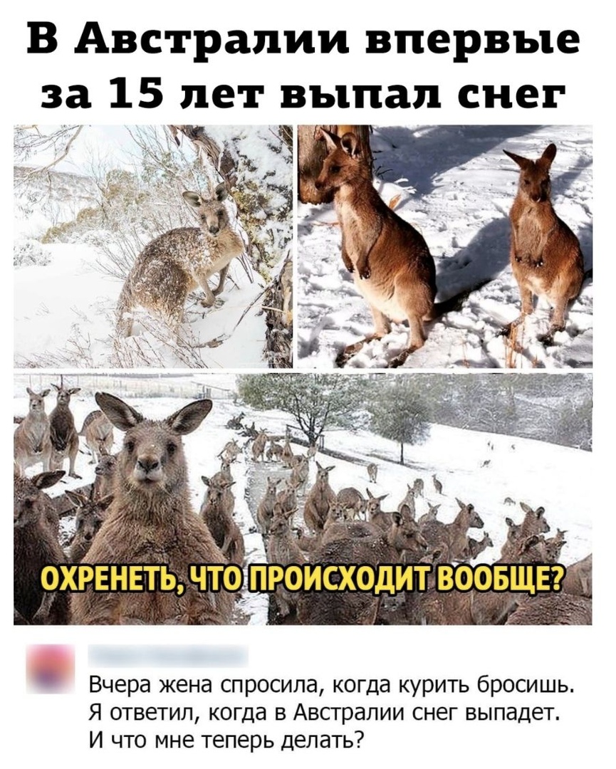 В Австралии впервые за 15 лет выпал снег 15 о рвнвты что Вчера жена спросила когда курить бросишь Я ответил когда в Австралии снег выпадет И что мне теперь делать