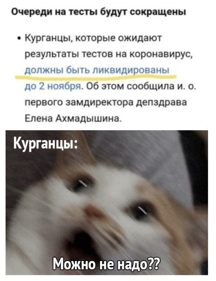Очереди на тесты будут сокращены Курганцы которые ожидают результаты тестов на коронавирус ДОЛЖНЫ бЫТЬ ЛИКВИДИРОВЗНЫ до 2 ноября Об этом сообщила ио первого замдиректора депздрава Елена Ахмадышина Курганцы Можно не надо