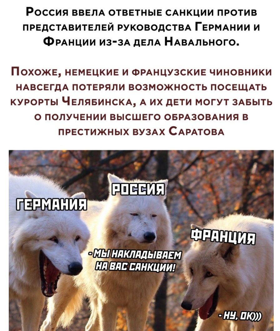 РОССИЯ ВВЕЛА ОТВЕТНЫЕ САНКЦИИ ПРОТИВ ПРЕДСТАВИТЕЛЕЙ РУКОВОДСТВА ГЕРМАНИИ И ФРАНЦИИ ИЗЗА ДЕЛА НАВАЛЬНОГО ПОХОЖЕ НЕМЕЦКИЕ И ФРАНЦУЗСКИЕ ЧИНОВНИКИ НАВСЕГДА ПОТЕРЯЛИ ВОЗМОЖНОСТЬ ПОСЕЩАТЬ КУРОРТЫ ЧЕЛЯБИНСКА А ИХ ДЕТИ МОГУТ ЗАБЫТЬ О ПОЛУЧЕНИИ ВЫСШЕГО ОБРАЗОВАНИЯ В ПРЕСТИЖНЫХ ВУЗАХ САРАТОВА ЕРЁНЦИЯ _ МФБ НдКЛддЬВПЕМ 2 5 НН ПК