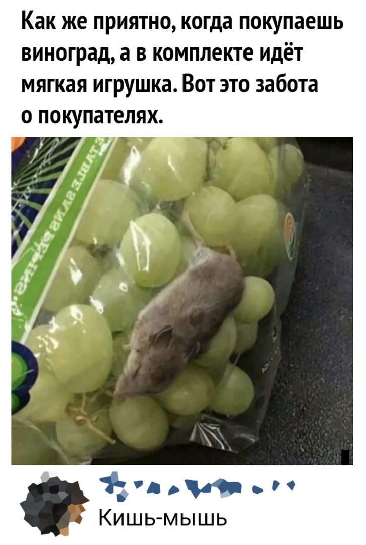 Как же приятно когда покупаешь виноград а в комплекте идёт мягкая игрушка Вот это забота 1 0 0 Кишь мышь