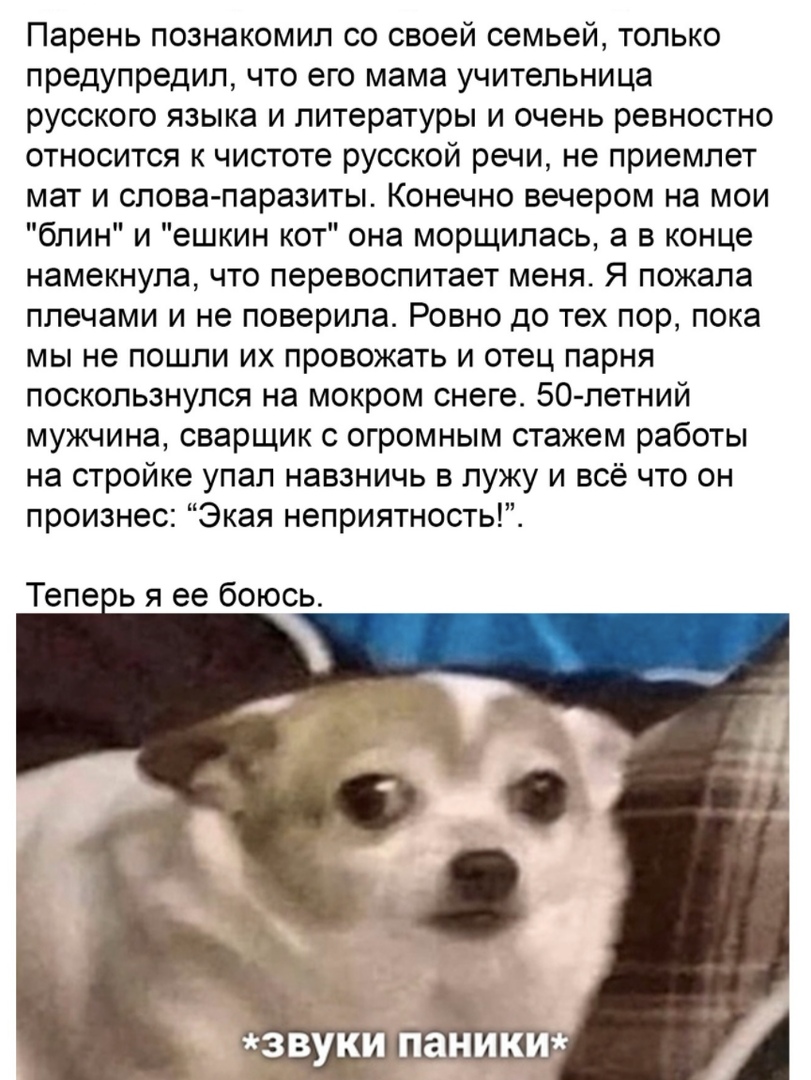 Парень познакомил со своей семьей только предупредил что его мама учительница русского языка и литературы и очень ревностно относится к чистоте русской речи не приемлет мат и слова паразиты Конечно вечером на мои блин и ешкин кот она морщилась а в конце намекнула что перевоспитает меня Я пожала плечами и не поверила Ровно до тех пор пока мы не пошли их провожать и отец парня поскользнулся на мокро