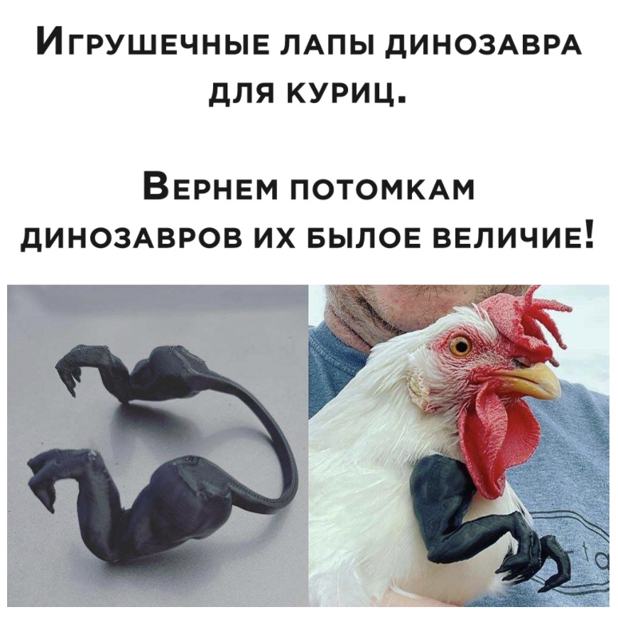 ИГРУШЕЧНЫЕ ЛАПЫ дИНОЗАВРА ДЛЯ КУРИЦ ВЕРНЕМ ПОТОМКАМ дИНОЗАВРОВ их вылов ВЕличив