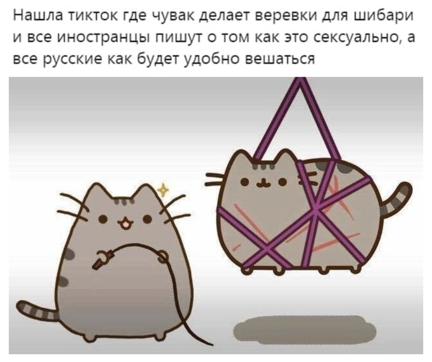 Нашла тикток где чувак делает веревки для шибари и все иностранцы пишут о том как это сексуально а все русские как будет удобно вешаться