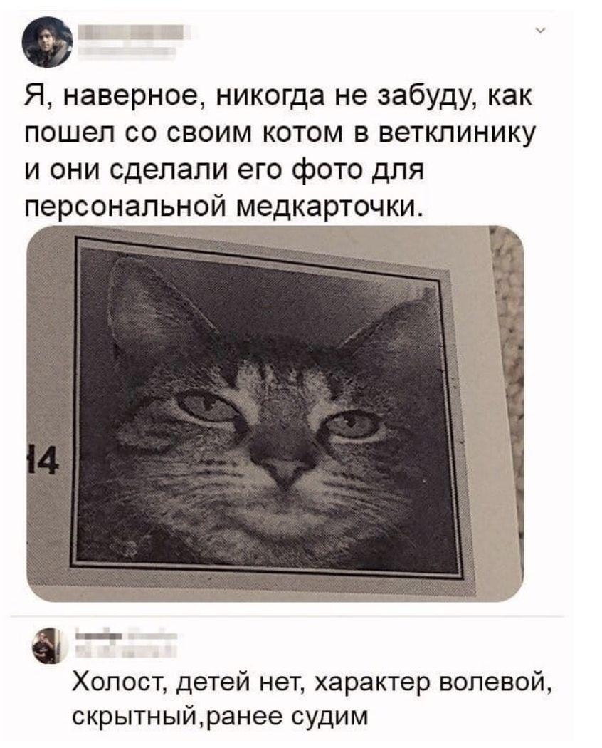 Я наверное никогда не забуду как пошел со своим котом в ветклинику и они сделали его фото для персональной медкарточки Холост детей нет характер волевой скрытныйранее судим