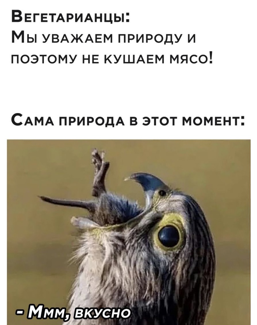 ВЕГЕТАРИАнцы Мы УВАЖАЕМ природу и поэтому НЕ КУШАЕМ мясо САМА ПРИРОДА В ЭТОТ МОМЕНТ