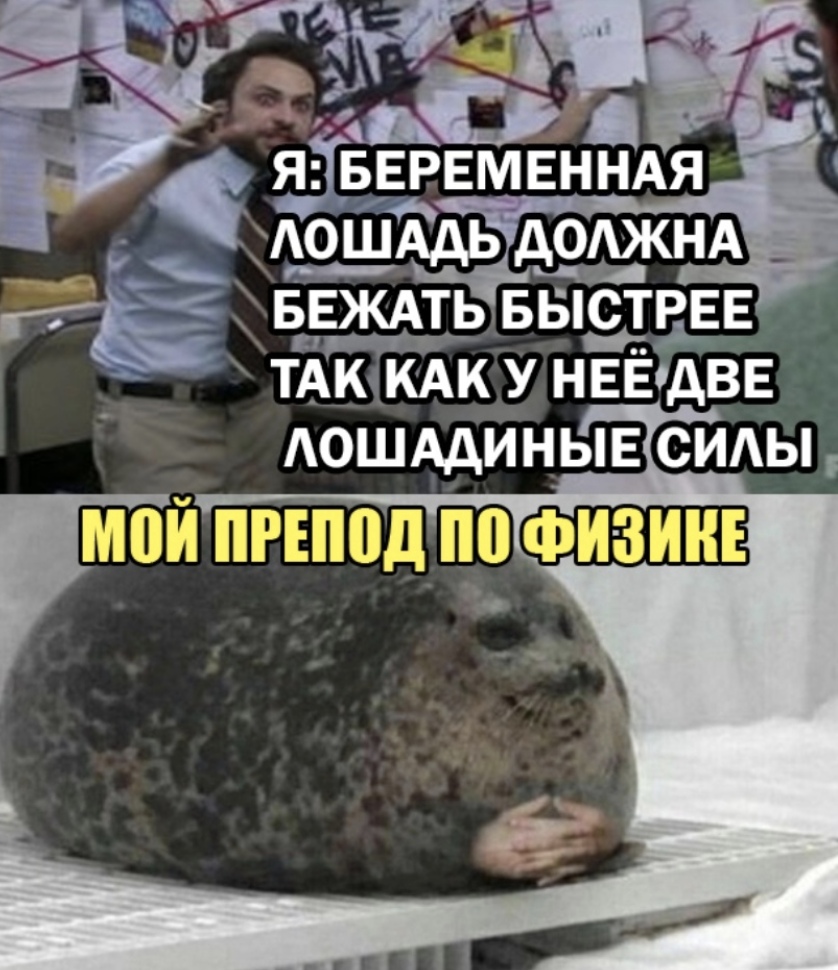 БЕЖАТЬ БЫСТРЕЕ ТАЮКАК У НЕЁдВЕ