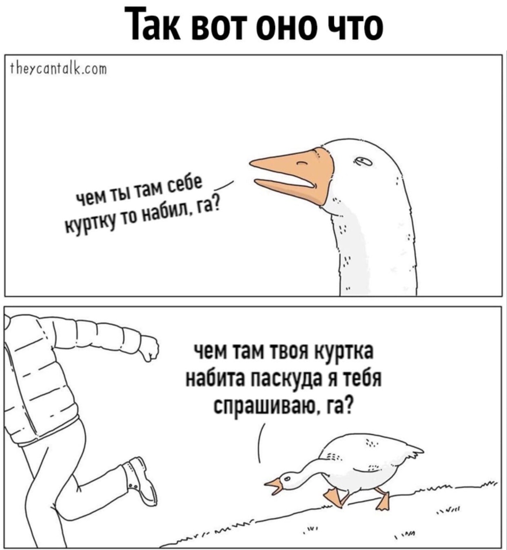 Так вот оно что тЬеусаптаіиот чемтыТамбзбеач то на _ курт чем там твоя куртка набита паскуда я тебя спрашиваю га