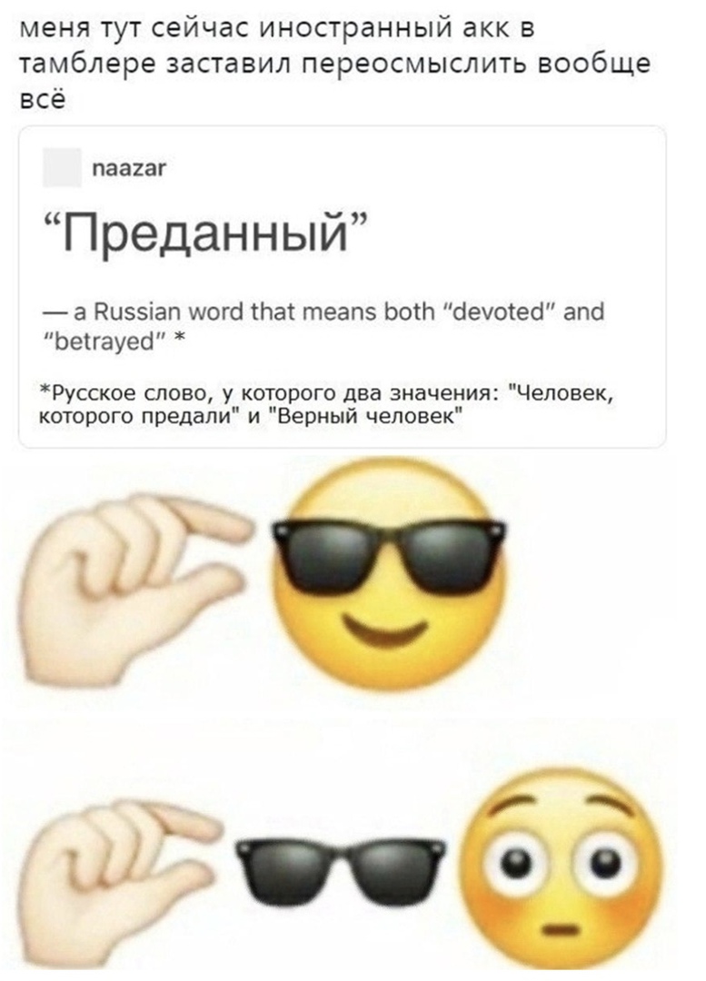 меня тут сейчас иностранный акк в тамблере заставил переосмыслить вообще всё пааіаг Преданный а Ризэіап могсі Нат теапэ ЬоіЬ бечоіеб апб Ьеігауесі Русское слово у которого два значения Человек которого предали и Верный человек