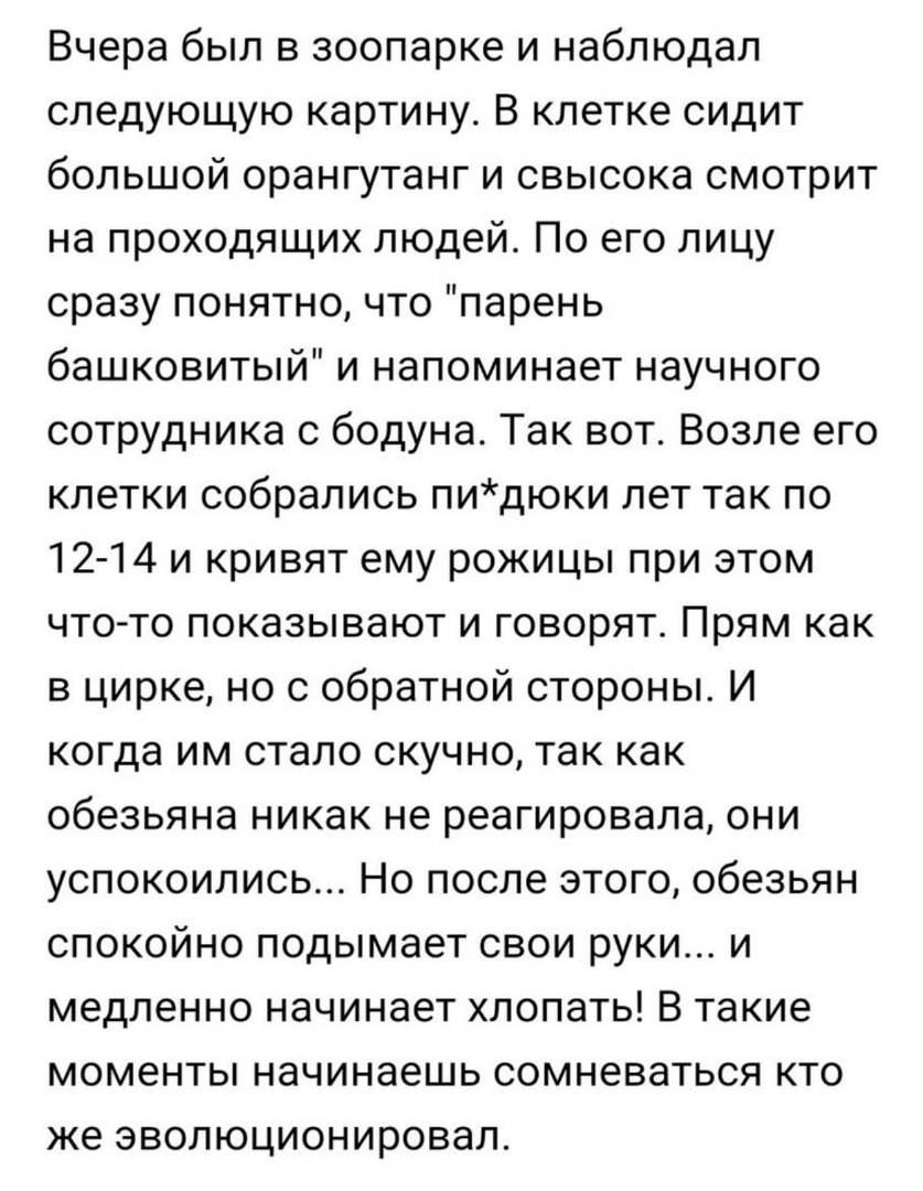 Вчера был в зоопарке и наблюдал следующую картину В клетке сидит большой орангутанг и свысока смотрит на проходящих людей По его лицу сразу понятно что парень башковитый и напоминает научного сотрудника с бодуна Так вот Возле его клетки собрались пидюки лет так по 12 14 и кривят ему рожицы при этом что то показывают и говорят Прям как в цирке но с обратной стороны И когда им стало скучно так как о