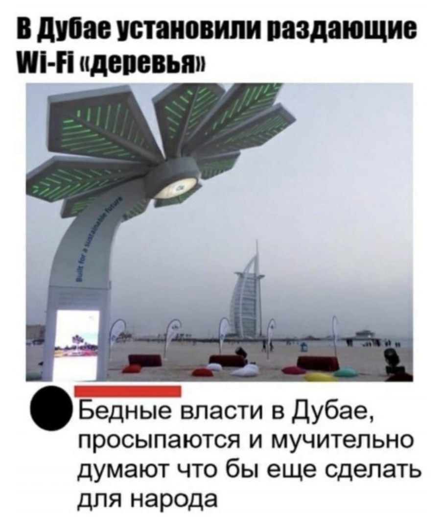 В диаз УБТЯНОВИЛИ падающие Ш Н деревья _ Бедные власти в Дубае просыпаются и мучительно думают что бы еще сделать для народа