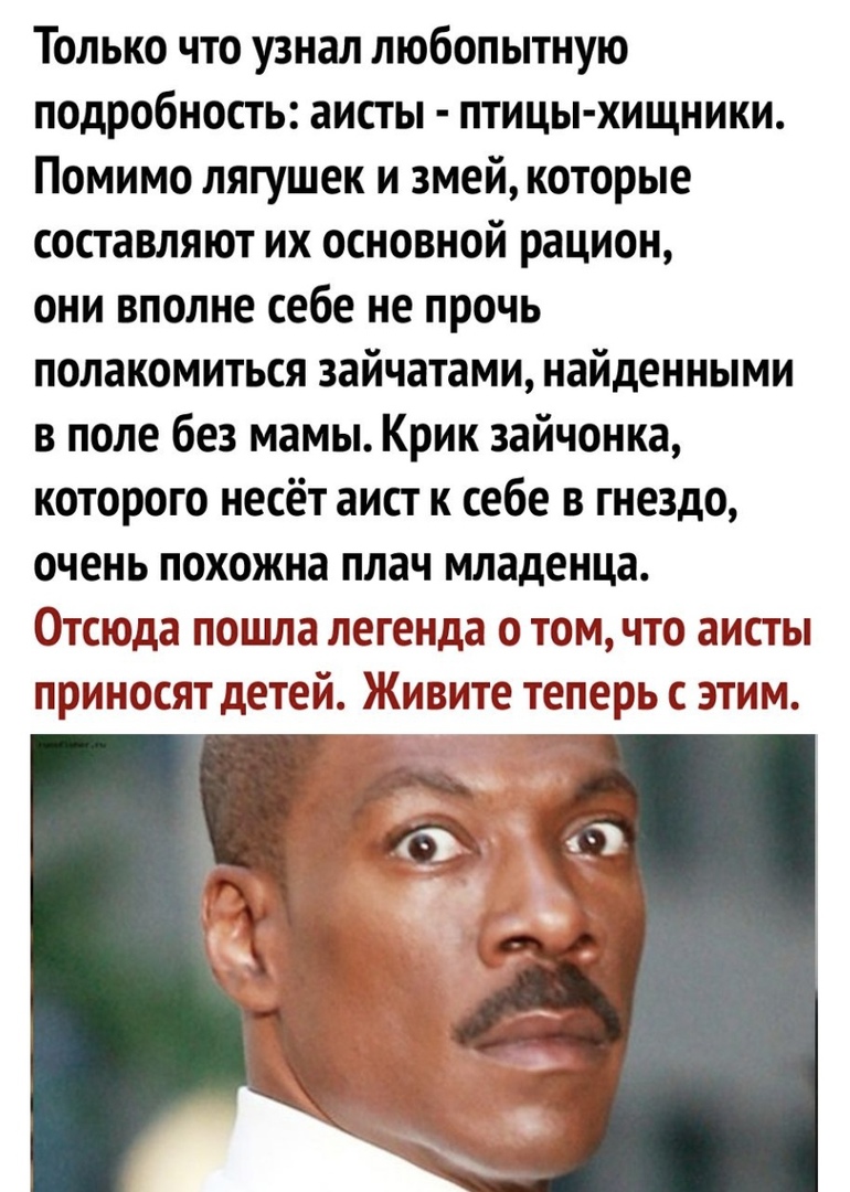 Только что узнал любопытную подробность аисты птицы хищники Помимо лягушек и змей которые составляют их основной рацион они вполне себе не прочь полакомиться зайчатами найденными в поле без мамы Крик зайчонка которого несёт аист к себе в гнездо очень похожна плач младенца Отсюда пошла легенда о том что аисты приносят детей Живите теперь с этим