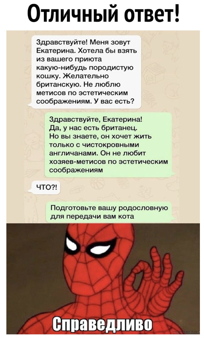 Отличный ответ Здравствуйте Меня зовут Екатерина Хотела бы взять из вашего приюта какую нибудь породистую кошку Желательно британскую Не люблю метисов по эстетическим соображениям У вас есть Здравствуйте Екатерина да у нас есть британец Но вы знаете он хочет жить только с чистокровными англичанами Он не любит хозяев метисов по эстетическим соображениям ЧТО Подготовьте вашу родословную для передачи