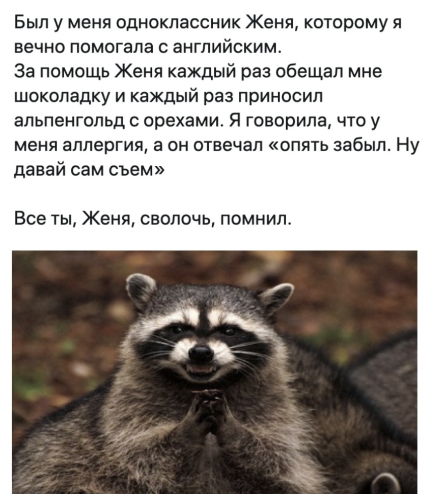 Был у меня одноклассник Женя которому я вечно помогала с английским За помощь Женя каждый раз обещал мне шоколадку и каждый раз приносил альпенгольд с орехами Я говорила что у меня аллергия а он отвечал опять забыл Ну давай сам съем Все ты Женя сволочь помнил