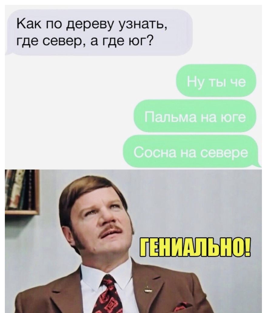 Как по дереву узнать где север а где юг
