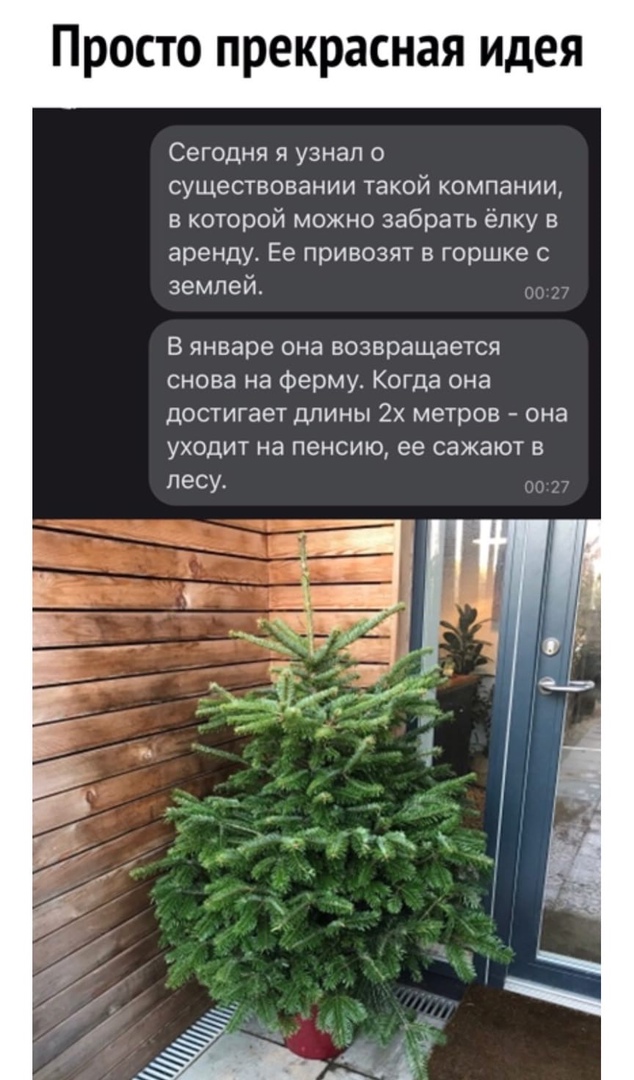 Просто прекрасная идея Сегодня я узнал о существовании такой компании в которой можно забрать ёлку в аренду Ее привозят в горшке с землей В январе она возвращается снова на ферму Когда она достигает длины 2 метров она уходит на пенсию ее сажают в лесу