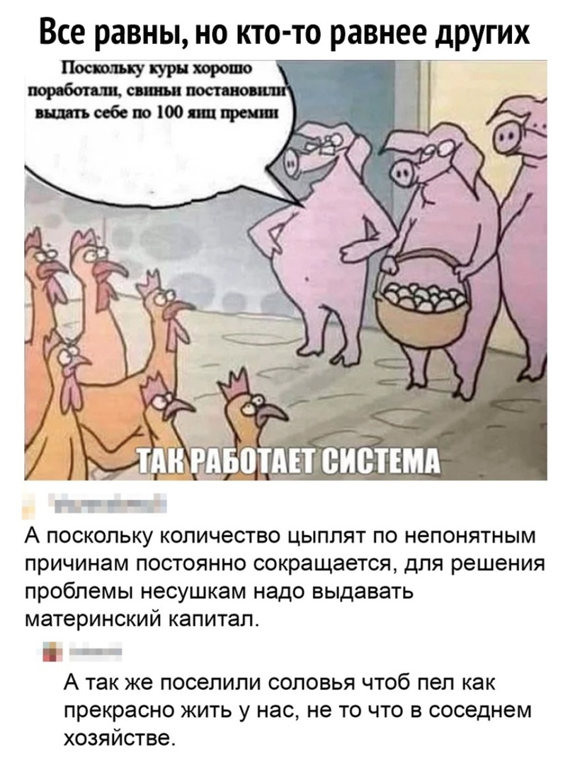 Все равны но кто то равнее других і __ А поскольку количество цыплят по непонятным причинам постоянно сокращается для решения проблемы несушкам надо выдавать материнский капитал _ в А ТЗК же ПОСЭПИЛИ СОПОВЬЯ ЧТОб ПЭП как прекрасно жить у нас не то что в соседнем хозяйстве