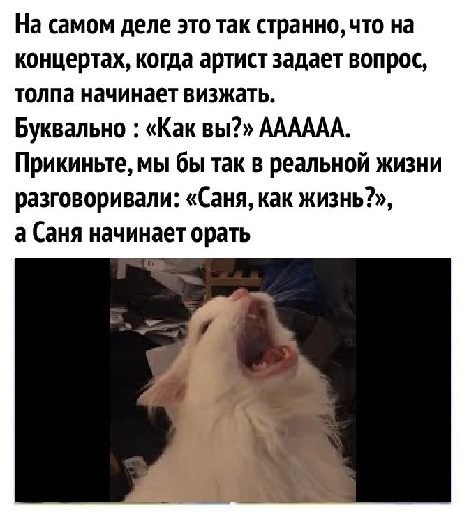 На самом деле это так странночто на концертах когда артист задает вопрос толпа начинает визжать Буквально Как вы АААААА Прикиньте мы бы так в реальной жизни разговоривали Саня как жизнь а Саня начинает орать