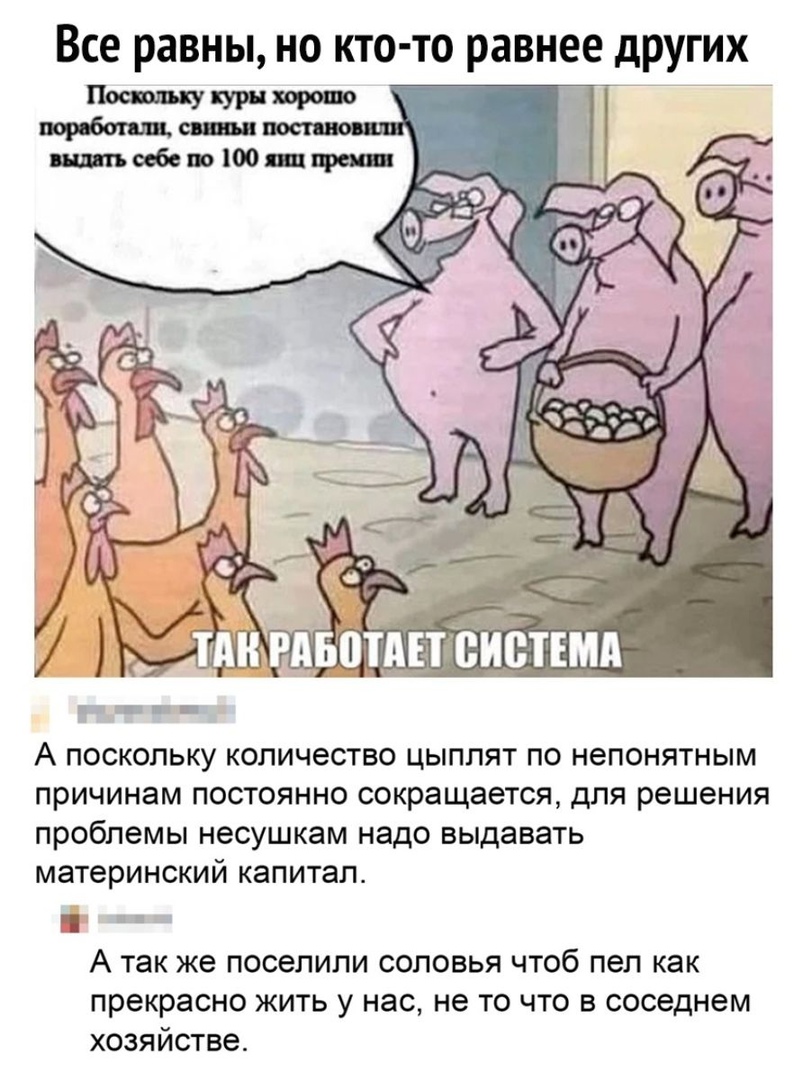 Все равны но кто то равнее других А поскольку количество цыплят по непонятным причинам постоянно сокращается для решения проблемы несушкам надо выдавать материнский капитал А ТЭК же ПОСЭПИЛИ СОПОВЬЯ ЧТОб ПЭП как прекрасно жить у нас не то что в соседнем хозяйстве