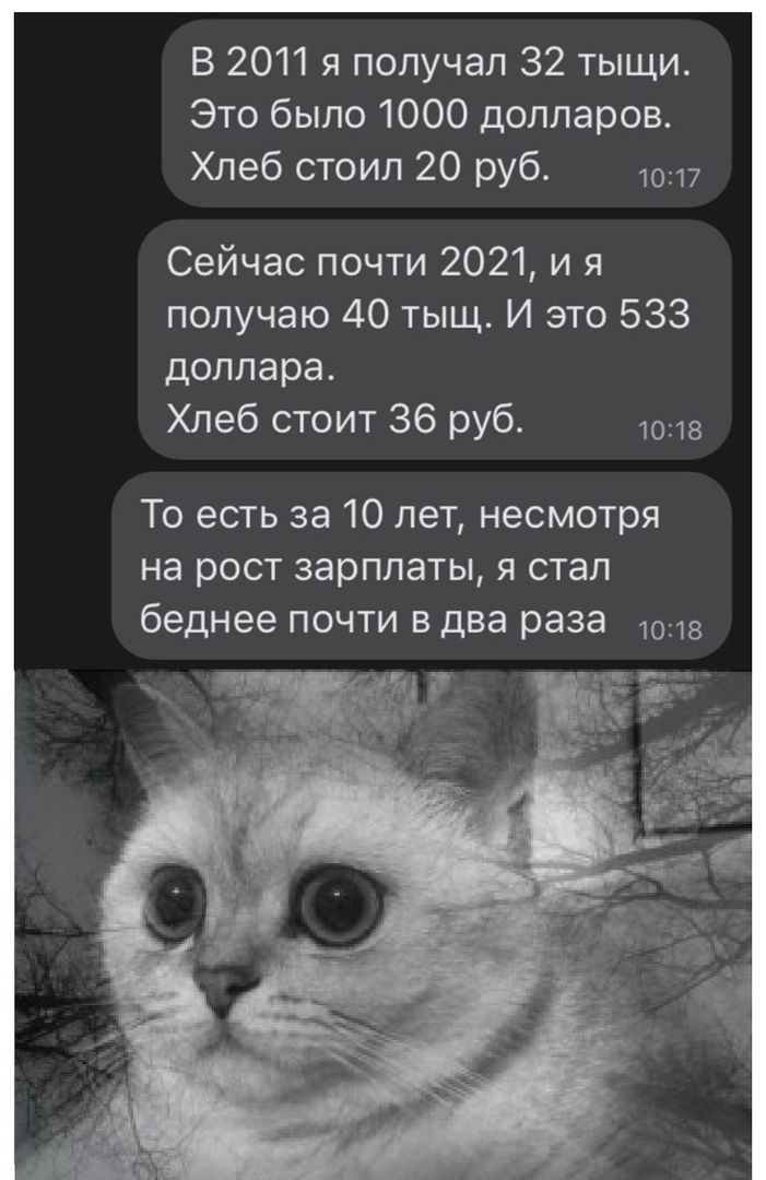 В 2011 я получал 32 тыщи Это было 1000 долларов Хлеб стоил 20 руб 1017 Сейчас почти 2021 и я получаю 40 тыщ И это 533 доллара Хлеб стоит 36 руб 1018 То есть за 10 лет несмотря на рост зарплаты я стал беднее почти в два раза 1018