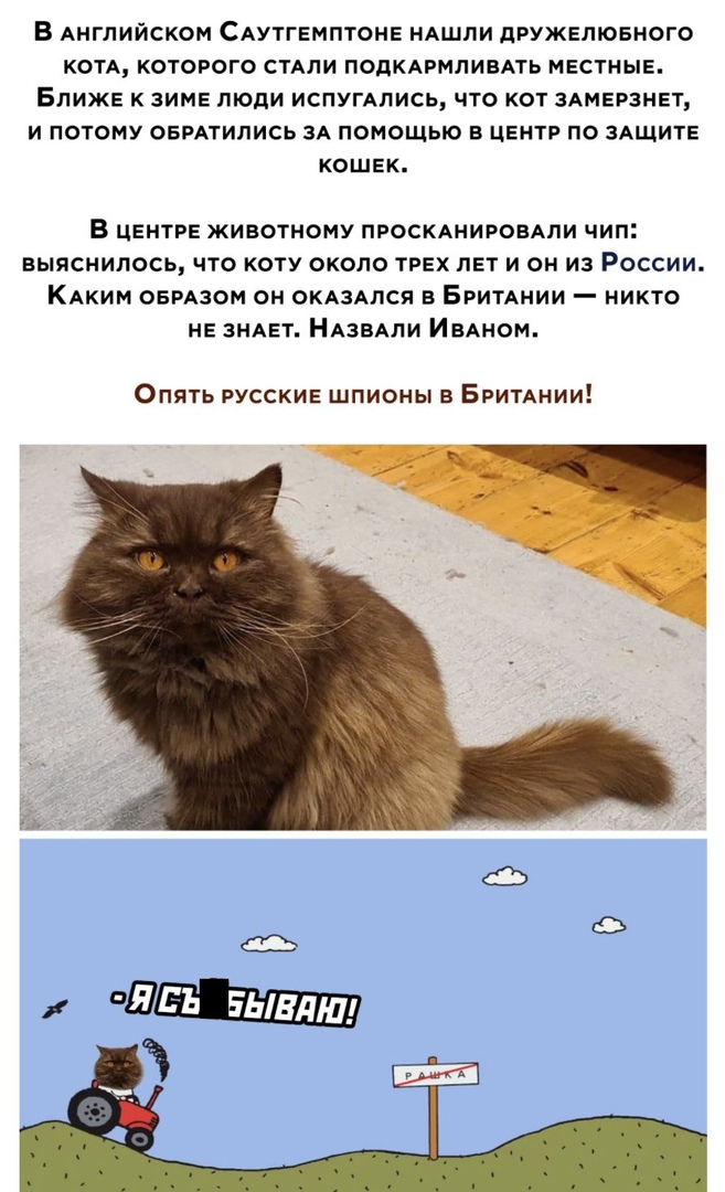 В АНГЛИЙСКОМ САУТГЕМПТОНЕ НАШЛИ дРУЖЕЛЮБНОГО КОТА КОТОРОГО СТАЛИ ПОДКАРМПИВАТЬ МЕСТНЫЕ БЛИЖЕ К ЗИМЕ ЛЮДИ ИСПУГАПИСЬ ЧТО КОТ ЗАМЕРЗНЕТ И ПОТОМУ ОБРАТИЛИСЬ ЗА ПОМОЩЬЮ В ЦЕНТР ПО ЗАЩИТЕ КОШЕК В центре животному ПРОСКАНИРОБАПИ чип выяснилось что коту около трех лет и он из России КАКИМ овмзом он окдздлся в БРИТАНИИ никто не зндвт НАЗВАПИ ИвАном ОПЯТЬ РУССКИЕ ШПИОНЫ В БРИТАНИИ