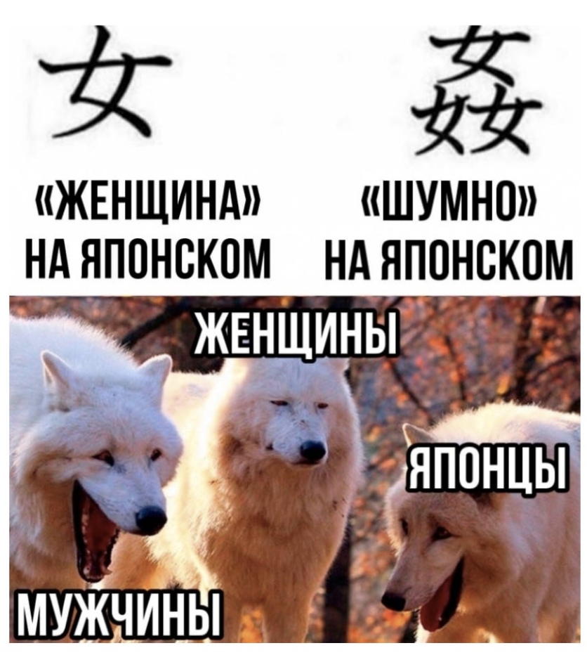 ЖЕНЩИНА шумно ндяпонскпм ндяппнскпм