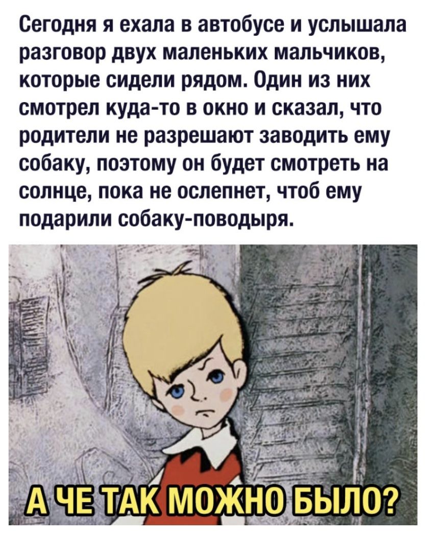 Сегодня я ехала в автобусе и услышала разговор двух маленьких мальчиков которые сидели рядом Один из них смотрел куда то в окно и сказал что родители не разрешают заводить ему собаку поэтому он будет смотреть на солнце пока не ослепнет чтоб ему подарили собаку поводыря чье