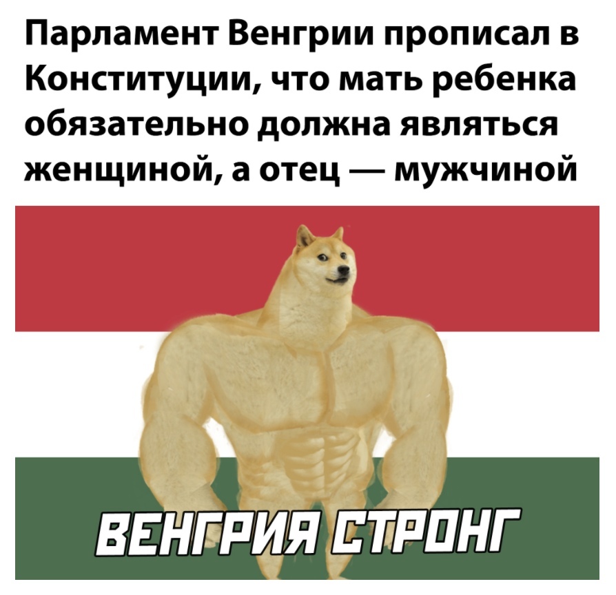 Должен был являться