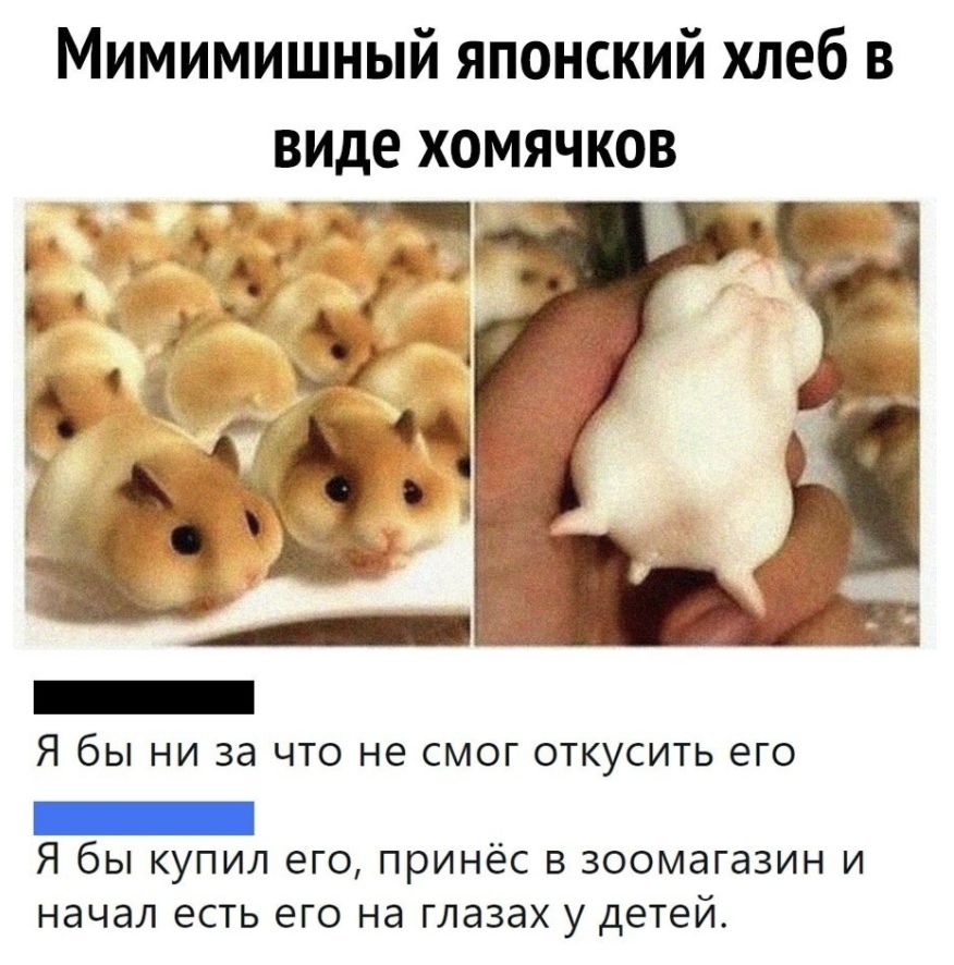 Мимимишный японский хлеб в виде хомячков Я бЫ НИ ЗЭ ЧТО Не СМОГ ОТКУСИТЬ еГО _ Я бы купил его принёс в зоомагазин и начал есть его на ГЛдЗдХ у детей