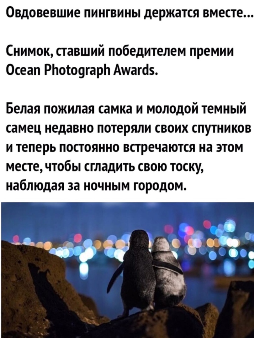 Эту загадчудсможет решить только 1 человек из 1000