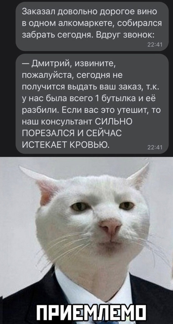 Заказал довольно дорогое вино в одном алкомаркете собирался забрать сегодня Вдруг звонок 22 41 Дмитрий извините пожалуйста сегодня не получится выдать ваш заказ тк у нас была всего 1 бутылка и её разбили Если вас это утешит то наш консультант СИЛЬНО ПОРЕЗАЛСЯ И СЕЙЧАС ИСТЕКАЕТ КРОВЬЮ 22