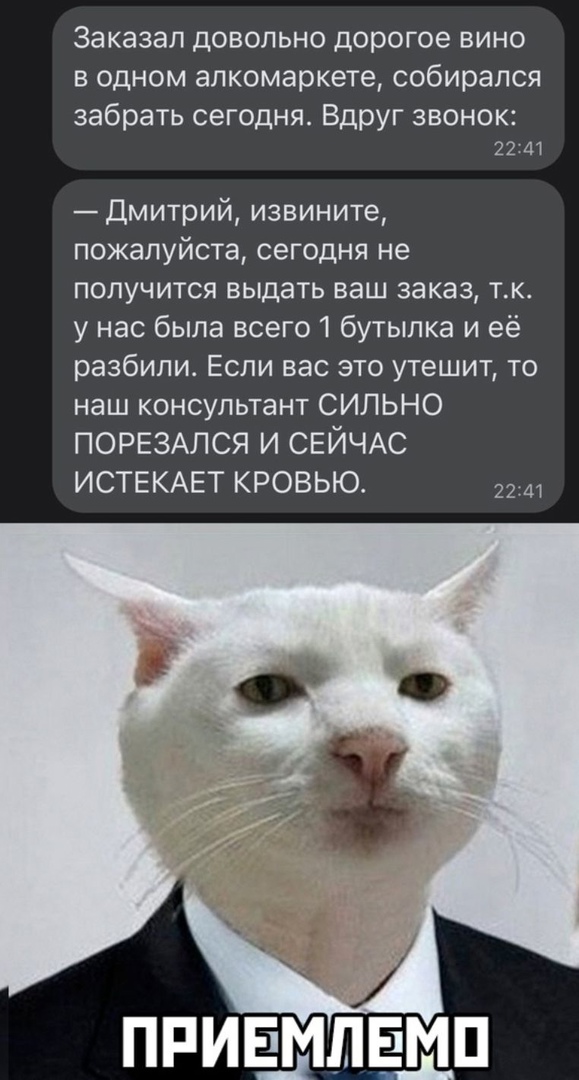 Заказал довольно дорогое вино в одном алкомаркете собирался забрать сегодня Вдруг звонок 22 41 Дмитрий извините пожалуйста сегодня не получится выдать ваш заказ тк у нас была всего 1 бутылка и её разбили Если вас это утешит то наш консультант СИЛЬНО ПОРЕЗАЛСЯ И СЕЙЧАС ИСТЕКАЕТ КРОВЬЮ 2241
