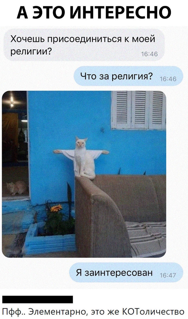 А ЭТО ИНТЕРЕСНО Хочешь присоединиться к моей религии Что за религия тЁ Ё Ёіё __Тдм Язаинтересован _ Пфф Элементарно это же КОТоличество