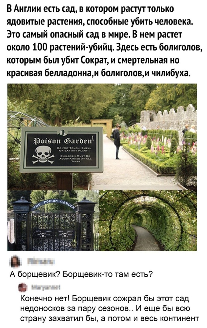 В Англии есть сад в котором растут только ядовитые растения способные убить человека Это самый опасный сад в мире В нем растет около 100 растений убийц Здесь есть болиголов которым был убит Сократ и смертельная но красивая белладоннам болиголови чилибуха Пп А борщевик Борщевик то там есть Конечно нет Борщевик сожрал бы этот сад недоносков за пару сезонов И еще бы всю страну захватил бы а потом и в