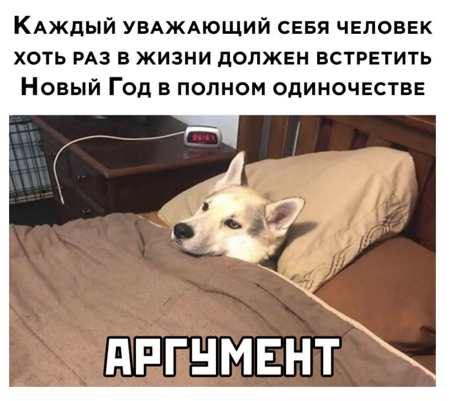 КАждый УВАЖАЮЩИЙ СЕБЯ человек хоть РАЗ в жизни должен встретить Новый Год в полном одиночестве