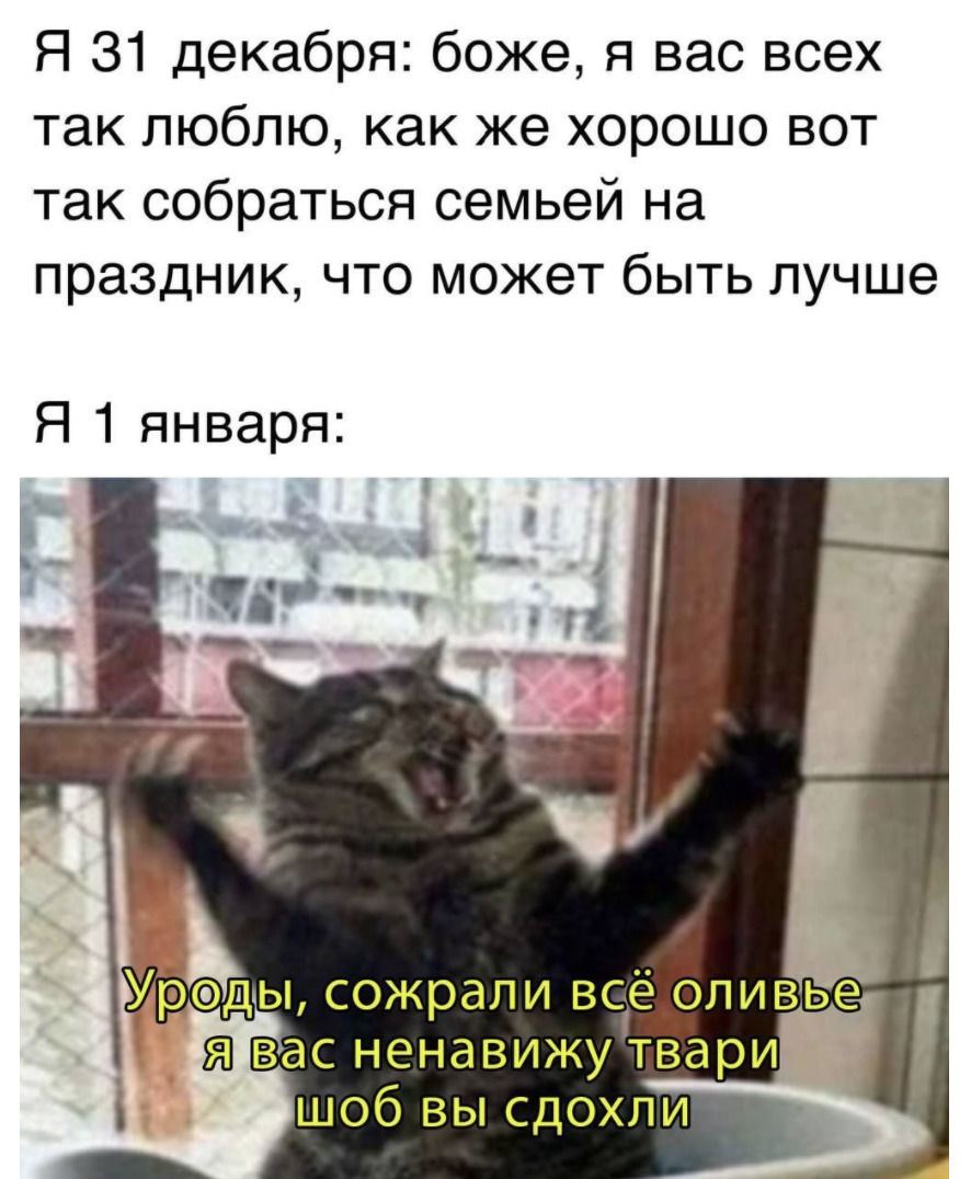 Я 31 декабря боже я вас всех так люблю как же хорошо вот так собраться семьей на праздник что может быть лучше Я 1 января