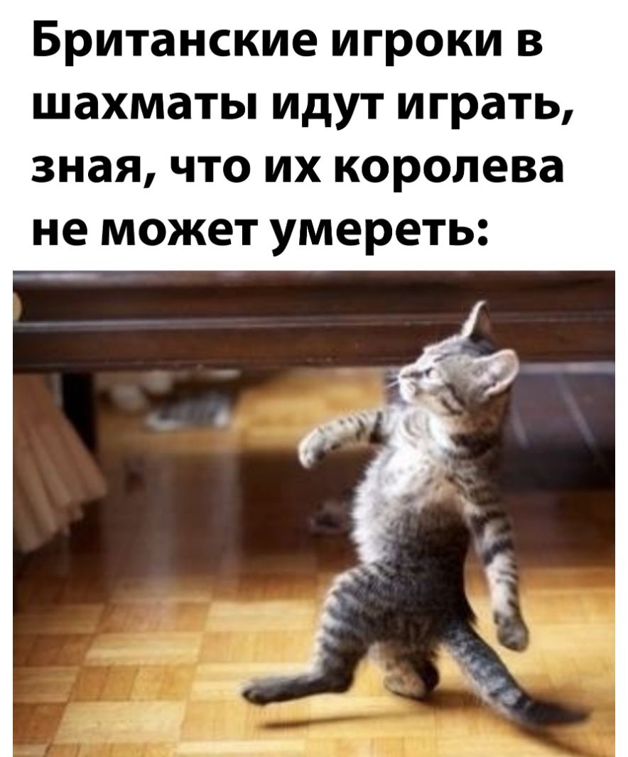 Британские игроки в шахматы идут играть зная что их королева не может умереть