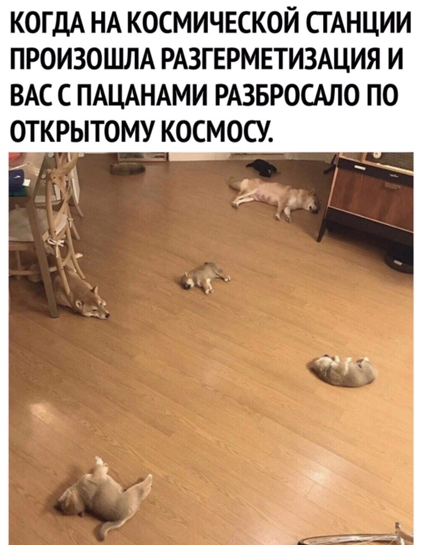 КОГДА НА КОСМИЧЕСКОЙ СТАНЦИИ ПРОИЗОШЛА РАЗГЕРМЕТИЗАЦИЯ И ВАС С ПАЦАНАМИ РАЗБРОСАЛО ПО ОТКРЫТОМУ КОСМОСУ __ жк _