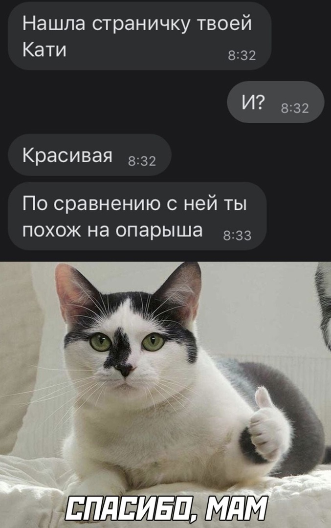 Нашла страничку твоей Кати 8132 И 8132 Красивая 832 По сравнению с ней ты похож на опарыша 833