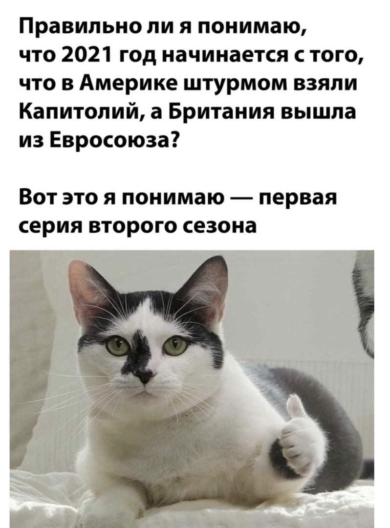 Правильно ли я понимаю что 2021 год начинается с того что в Америке штурмом взяли Капитолий а Британия вышла из Евросоюза Вот это я понимаю первая серия второго сезона