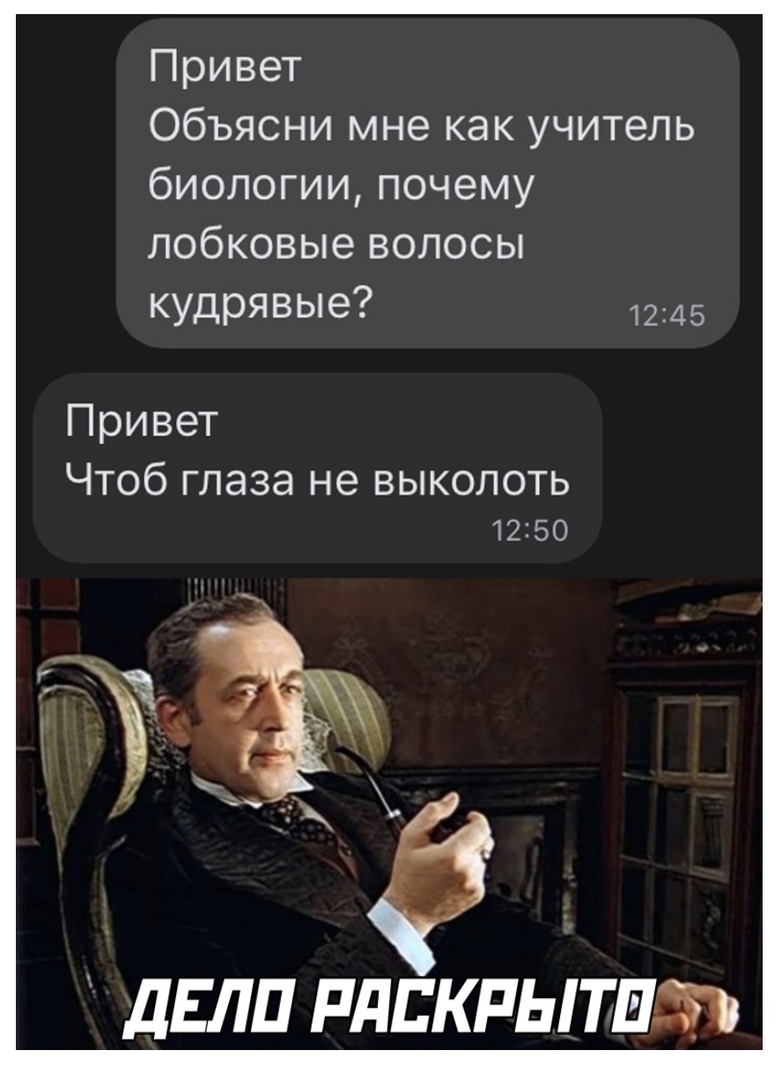 Привет Объясни мне как учитель биологии почему лобковые волосы кудрявые Привет Чтоб глаза не выколоть дЕЛП РдЕКРЫТПьЙ