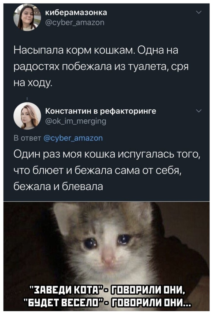 киберамазонка _ суЬег_атахоп Насыпала корм кошкам Одна на радостях побежала из туалета сря на ходу Константин в рефакторинге оК_іт_тег9іп9 В ответ суЬег_атаиоп ОДИН раз МОЯ КОШКЭ испугалась ТОГО что блюет и бежала сама от себя бежала и бпевапа ЗАВЕДИ КПТдо ГПВПРИЛИ ПНИ ЕНдЕТ ВЕБЕЛП ГПВПРПИ ПНИ
