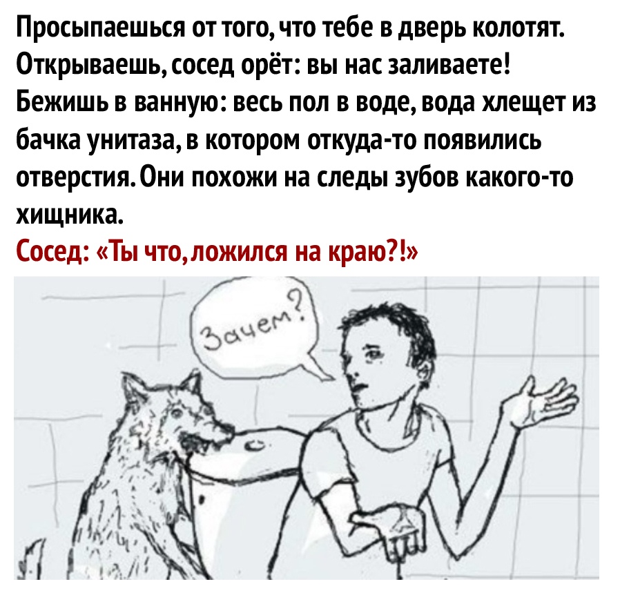 Просыпаешься от того что тебе в дверь колотят Открываешь сосед орёт вы нас заливаете Бежишь в ванную весь пол в воде вода хлещет из бачка унитаза в котором откуда то появились отверстия0ни похожи на следы зубов какого то хищника Сосед Ты чтоложился на краю