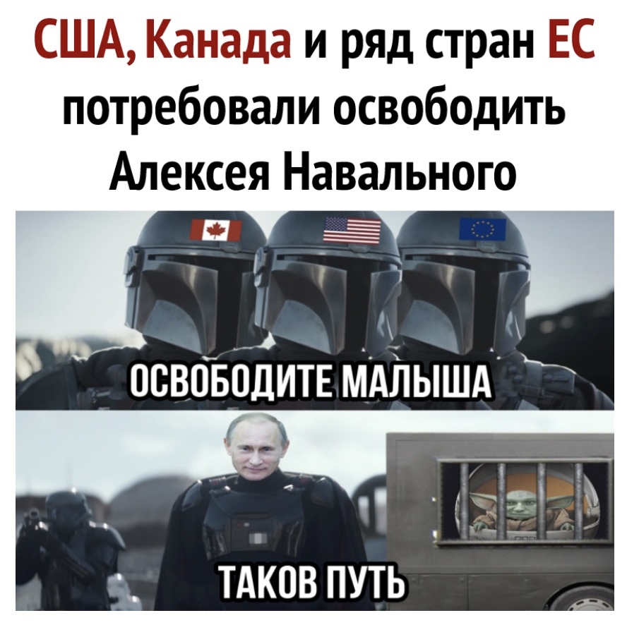 США Канада и ряд стран ЕС потребовали освободить Алексея Навального