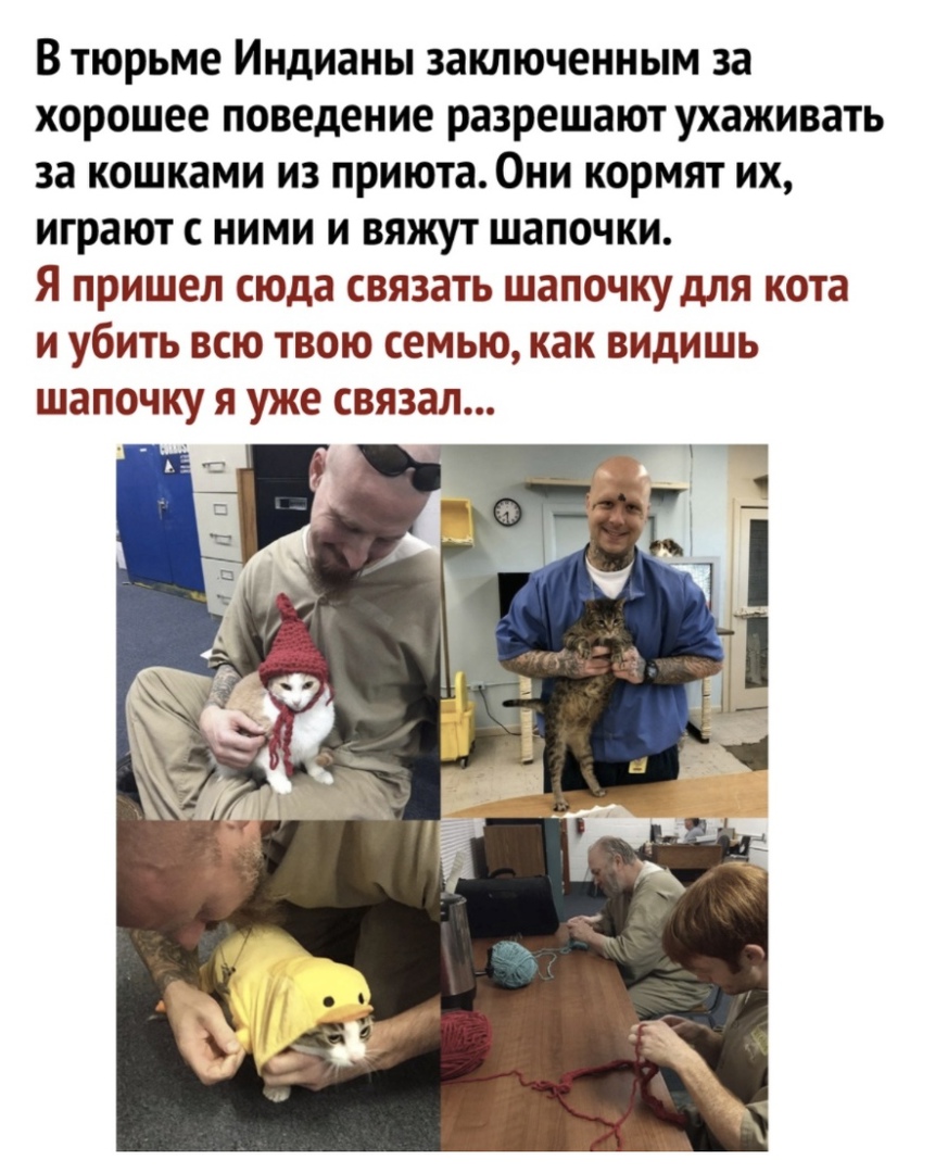 В тюрьме Индианы заключенным 38 хорошее поведение разрешают ухаживать за КОШКЗМИ ИЗ приюта Они КОРМЯТ ИХ играют С НИМИ и ВЯЖУТ ШЗПОЧКИ Я ПРИШЕЛ сюда СВЯЗЗТЬ ШЗПОЧКУ дЛЯ кота И УбИТЬ ВСЮ ТВОЮ СЕМЬЮ как ВИдИШЬ шапочку Я уже СВЯЗЗЛ