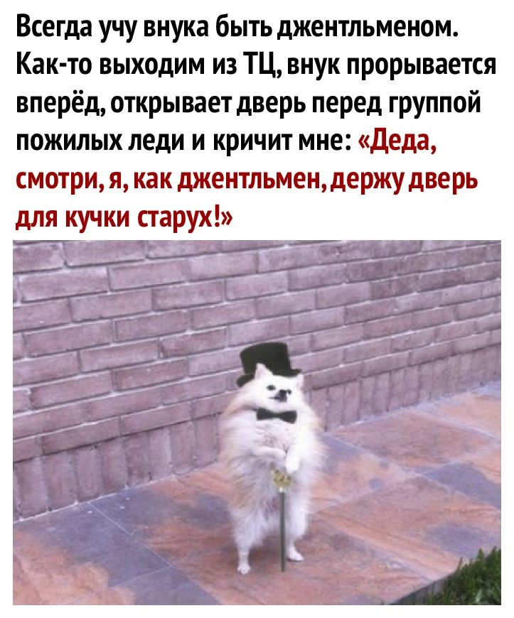 Всегда учу внука быть джентльменом Как то выходим из ТЦ внук прорывается вперёд открывает дверь перед группой пожилых леди и кричит мне Деда смотрия как джентльмендержу дверь для кучки старух