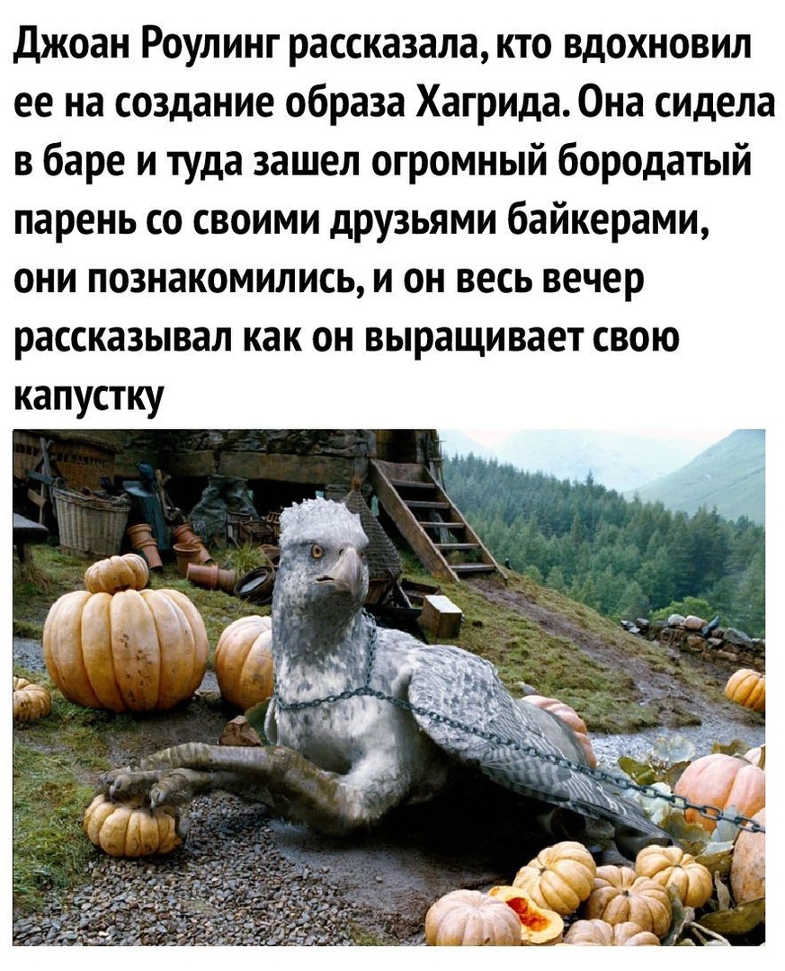 Джоан Роулинг рассказала кто вдохновил ее на создание образа Хагрида Она сидела в баре и туда зашел огромный бородатый парень со своими друзьями байкерами они познакомились и он весь вечер рассказывал как он выращивает свою капустку