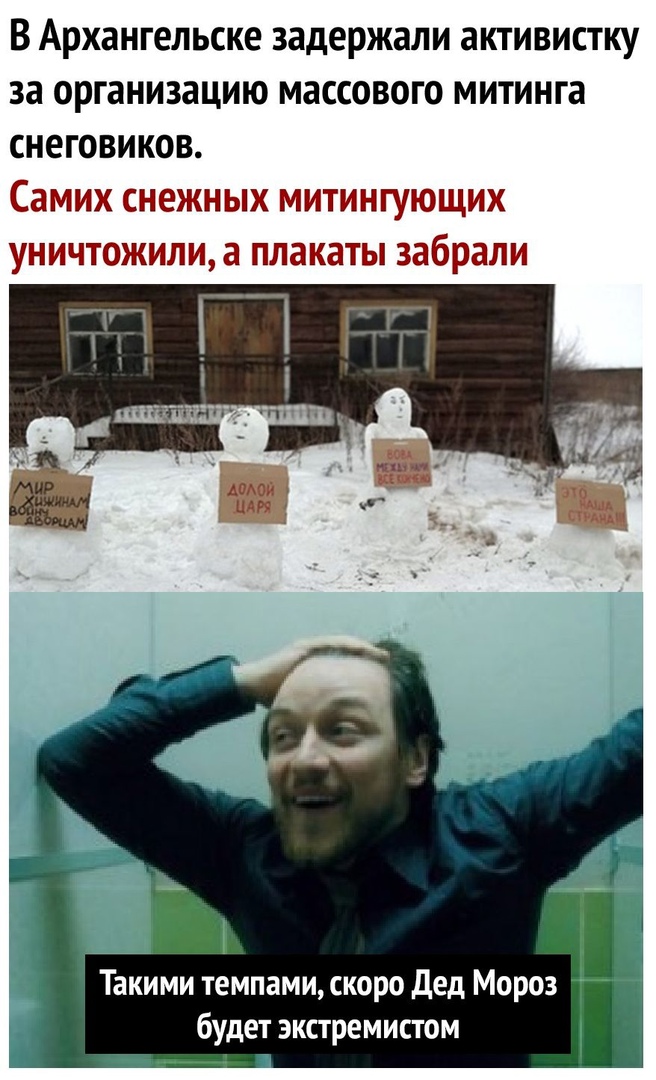 В Архангельске задержали активистку за организацию массового митинга снеговиков Самих снежных митингующих уничтожили а плакаты забрали _ Такими темпами скоро Дед Мороз будет экстремистом
